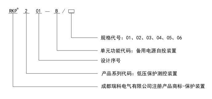 RKP201-B命名規(guī)則.jpg