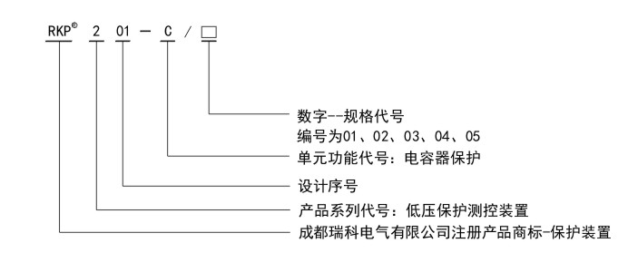 RKP201-C命名規(guī)則.jpg